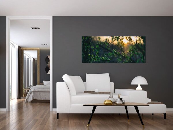 Tablou - Soarele strălucind printre crengile copacilor (120x50 cm)