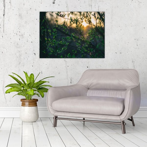 Tablou - Soarele strălucind printre crengile copacilor (70x50 cm)