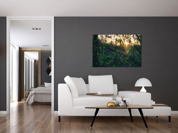 Tablou - Soarele strălucind printre crengile copacilor (90x60 cm)