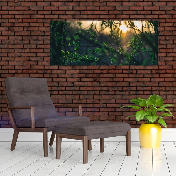Tablou - Soarele strălucind printre crengile copacilor (120x50 cm)
