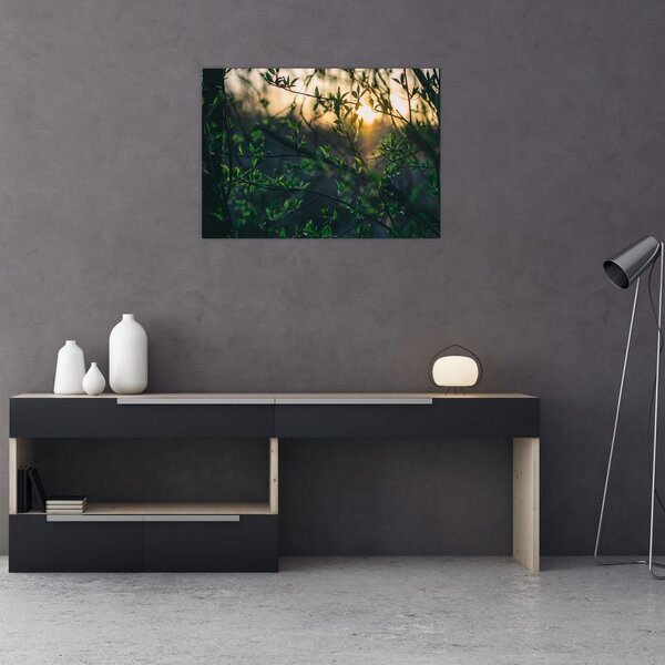 Tablou - Soarele strălucind printre crengile copacilor (70x50 cm)