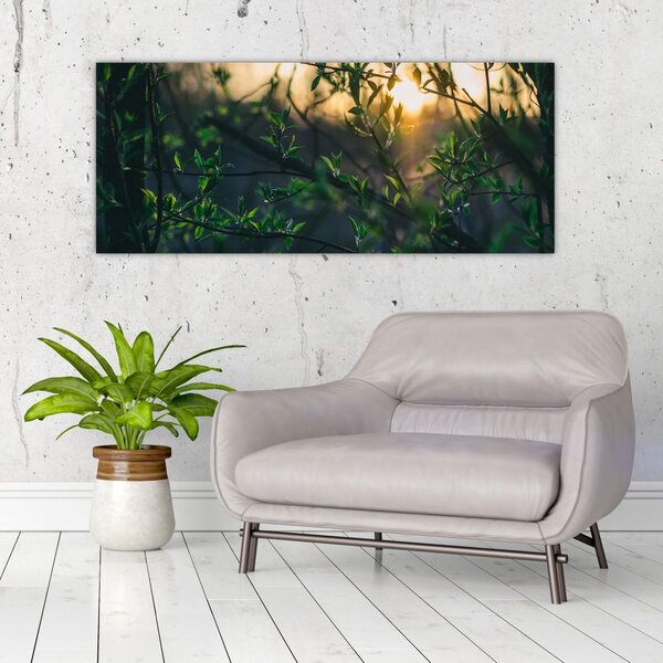 Tablou - Soarele strălucind printre crengile copacilor (120x50 cm)