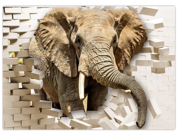 Tablou - Elefant spârgând peretele (70x50 cm)