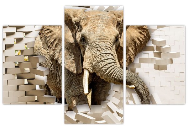 Tablou - Elefant spârgând peretele (90x60 cm)