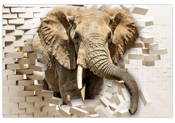 Tablou - Elefant spârgând peretele (90x60 cm)