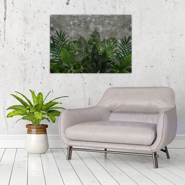 Tablou - Zid de beton cu plante (70x50 cm)