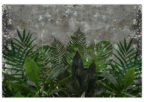 Tablou - Zid de beton cu plante (90x60 cm)