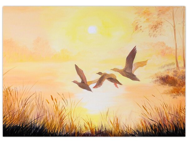 Tablou - Macarale la apus de soare (70x50 cm)