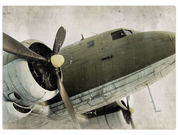 Tablou - Avion vechi cu elice (70x50 cm)