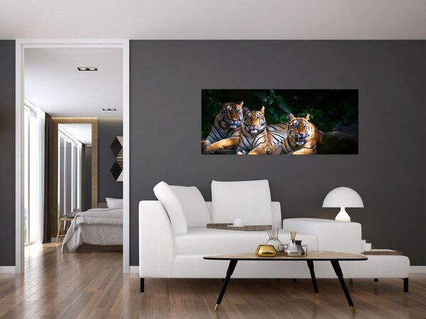Tablou - Tigrii frați (120x50 cm)