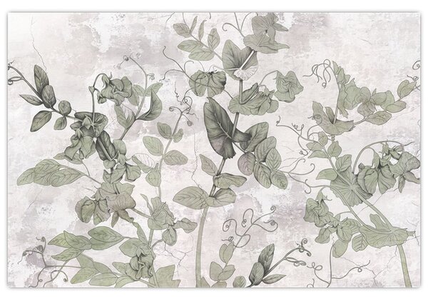 Tablou - Plante in ipsos (90x60 cm)