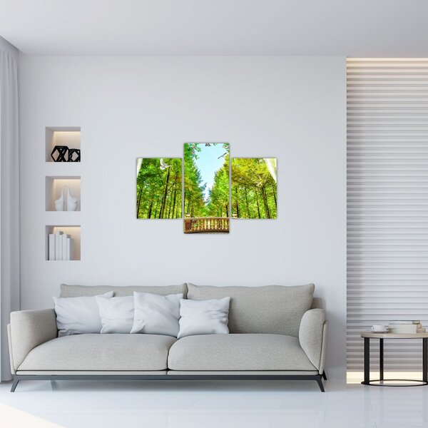 Tablou - Privire spre pădure (90x60 cm)