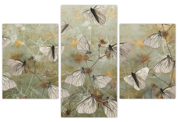 Tablou - Vintege fluturi (90x60 cm)