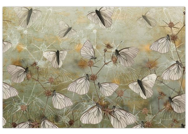 Tablou - Vintege fluturi (90x60 cm)