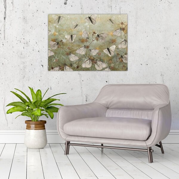 Tablou - Vintege fluturi (70x50 cm)