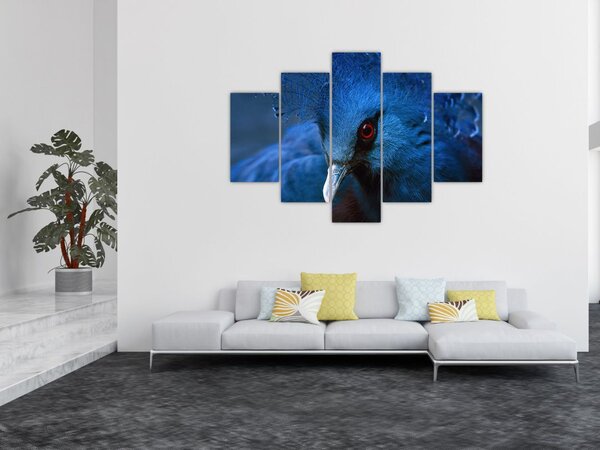 Tablou - Porumbel încoronat (150x105 cm)
