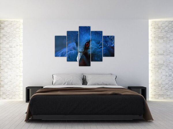 Tablou - Porumbel încoronat (150x105 cm)