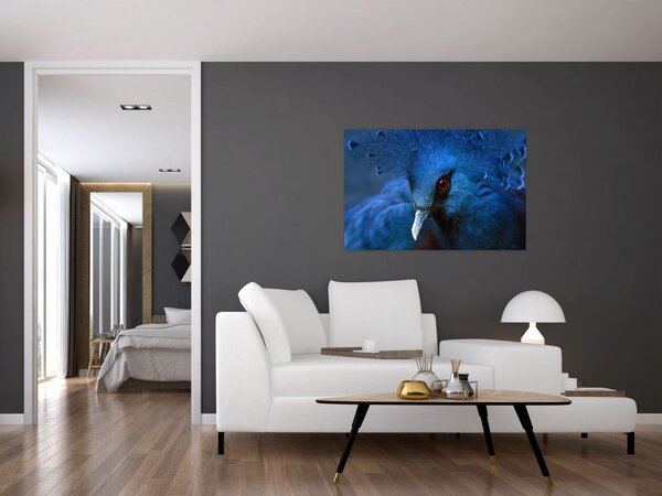 Tablou - Porumbel încoronat (90x60 cm)