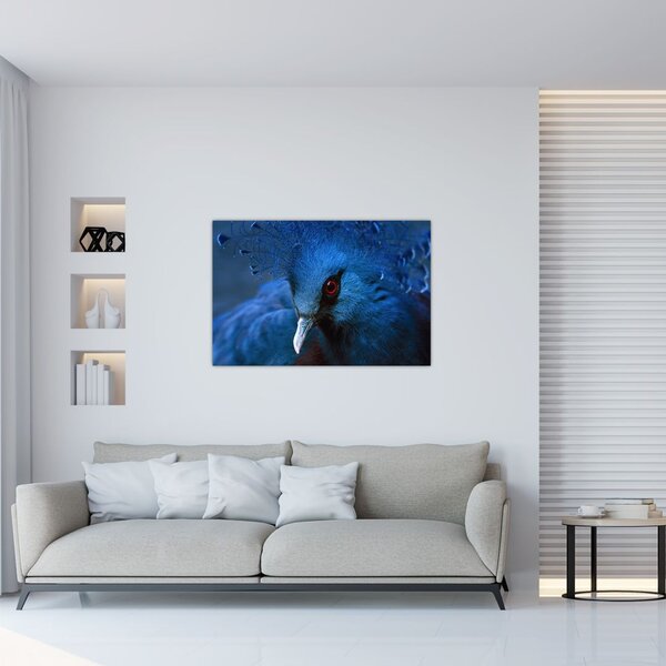 Tablou - Porumbel încoronat (90x60 cm)