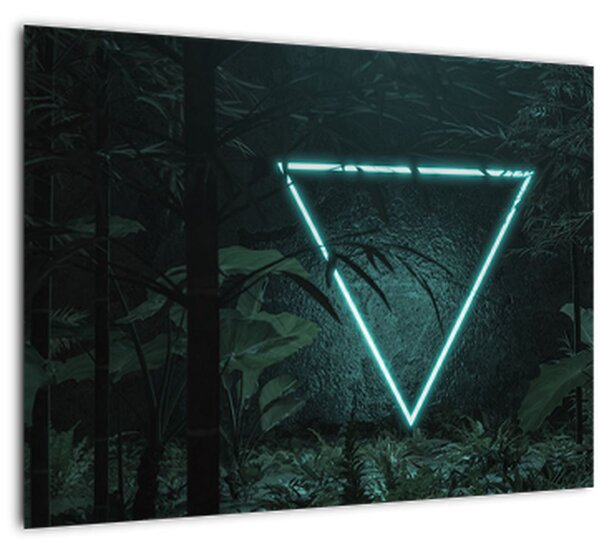 Tablou - Triunghi de neon în junglă (70x50 cm)