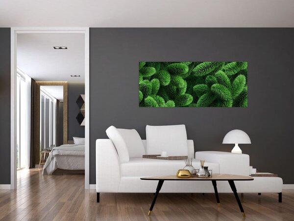 Tablou - Ramuri de conifere (120x50 cm)