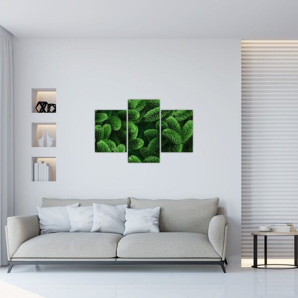 Tablou - Ramuri de conifere (90x60 cm)