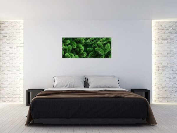 Tablou - Ramuri de conifere (120x50 cm)