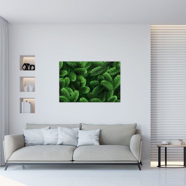 Tablou - Ramuri de conifere (90x60 cm)