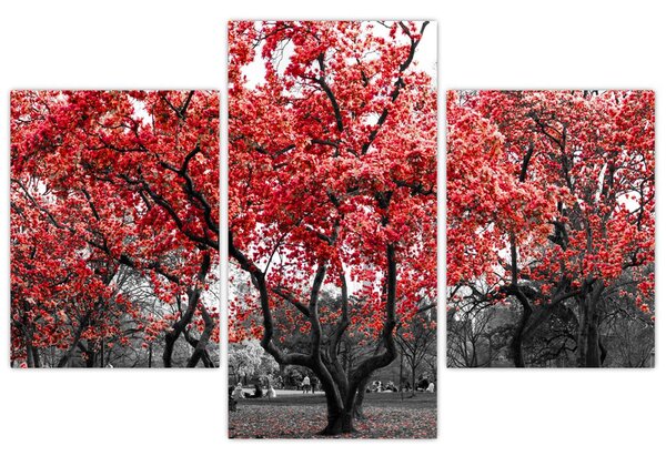 Tablou - Copacii roșii, Central Park, New York (90x60 cm)