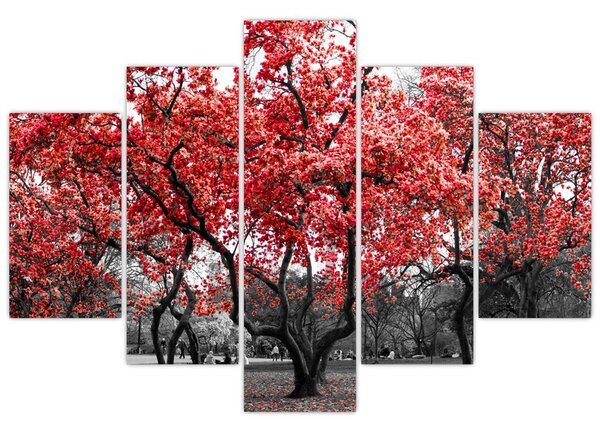 Tablou - Copacii roșii, Central Park, New York (150x105 cm)