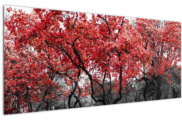 Tablou - Copacii roșii, Central Park, New York (120x50 cm)