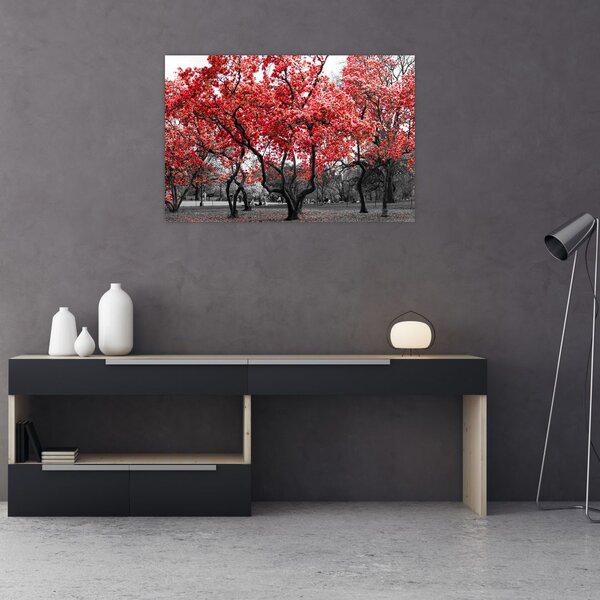Tablou - Copacii roșii, Central Park, New York (90x60 cm)