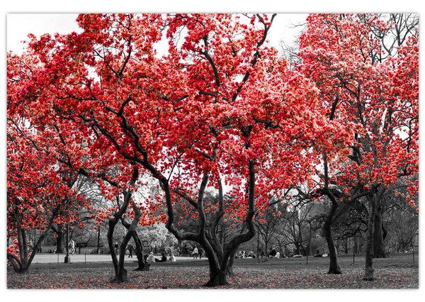 Tablou - Copacii roșii, Central Park, New York (90x60 cm)