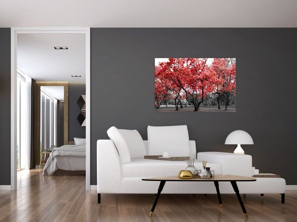 Tablou - Copacii roșii, Central Park, New York (90x60 cm)