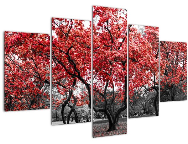 Tablou - Copacii roșii, Central Park, New York (150x105 cm)