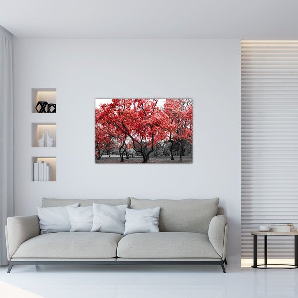 Tablou - Copacii roșii, Central Park, New York (90x60 cm)