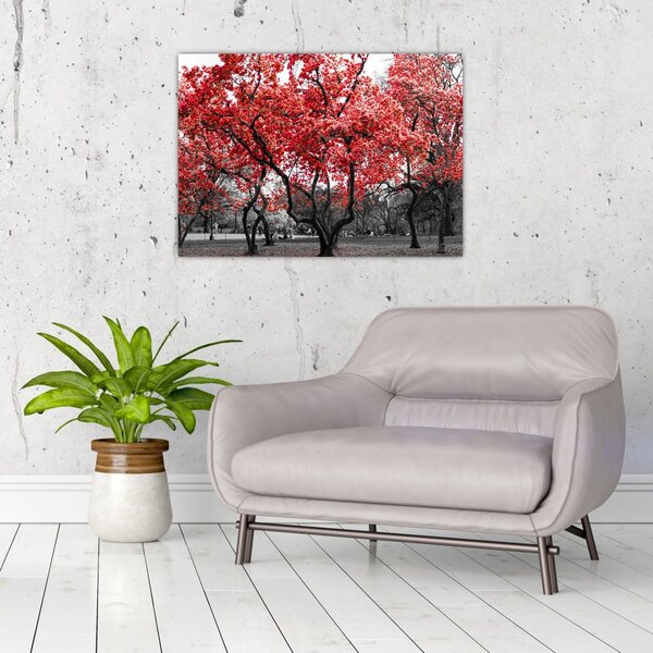 Tablou - Copacii roșii, Central Park, New York (70x50 cm)