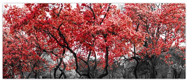 Tablou - Copacii roșii, Central Park, New York (120x50 cm)