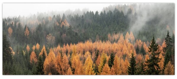 Tablou - Pădure toamna (120x50 cm)