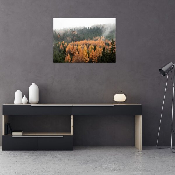 Tablou - Pădure toamna (70x50 cm)