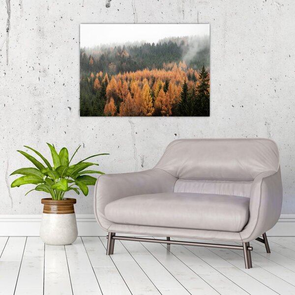 Tablou - Pădure toamna (70x50 cm)