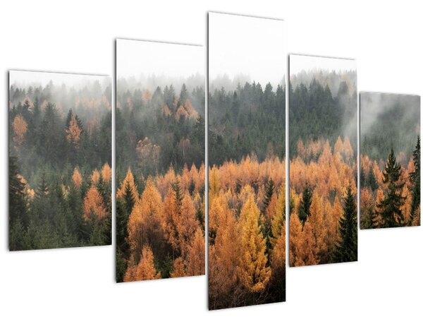 Tablou - Pădure toamna (150x105 cm)