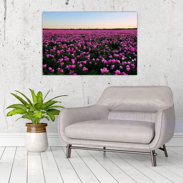 Tablou - Pajiștea cu lalele violet (90x60 cm)