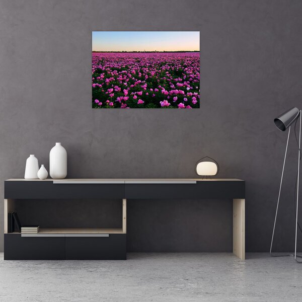Tablou - Pajiștea cu lalele violet (70x50 cm)
