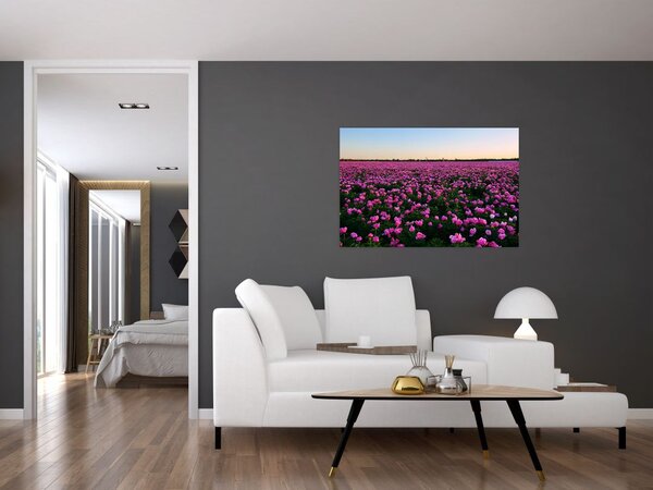 Tablou - Pajiștea cu lalele violet (90x60 cm)