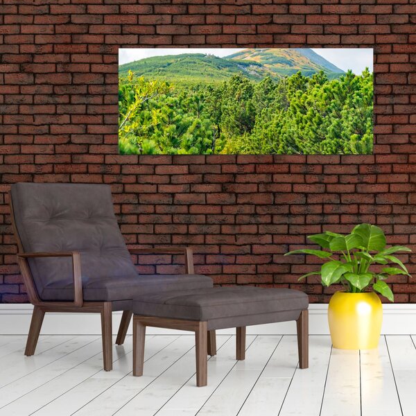 Tablou - Babi Hora, Polonia (120x50 cm)