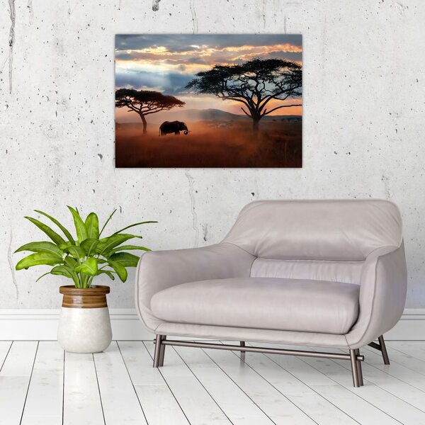 Tablou - Parcul Național Serengeti, Tanzania, Africa (70x50 cm)