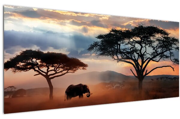 Tablou - Parcul Național Serengeti, Tanzania, Africa (120x50 cm)