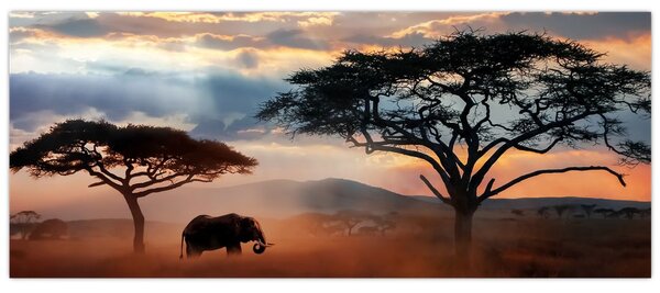 Tablou - Parcul Național Serengeti, Tanzania, Africa (120x50 cm)
