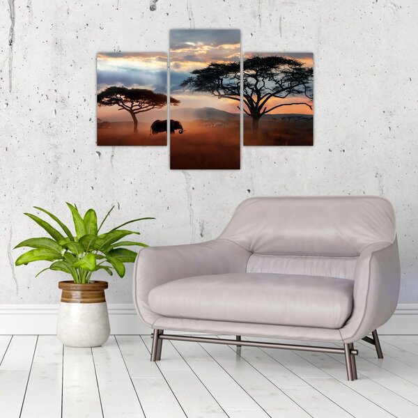 Tablou - Parcul Național Serengeti, Tanzania, Africa (90x60 cm)